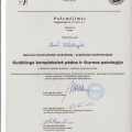 Powiększ obraz: certificate 28