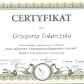 Powiększ obraz: certificate 4