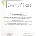 Powiększ obraz: certificate 2