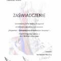 Powiększ obraz: certificate 8