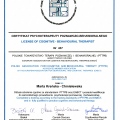 Powiększ obraz: certificate 1