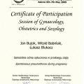 Powiększ obraz: certificate 6