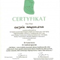 Powiększ obraz: certificate 13