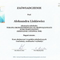 Powiększ obraz: certificate 2