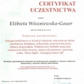 Powiększ obraz: certificate 10