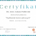 Powiększ obraz: certificate 64