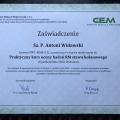 Powiększ obraz: certificate 9