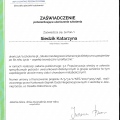 Powiększ obraz: certificate 40