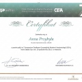 Powiększ obraz: certificate 15