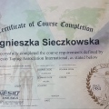 Powiększ obraz: certificate 5