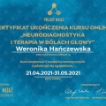 Powiększ obraz: certificate 3
