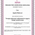 Powiększ obraz: certificate 2