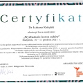 Powiększ obraz: certificate 7