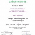 Powiększ obraz: certificate 34