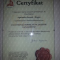 Powiększ obraz: certificate 2