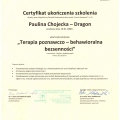 Powiększ obraz: certificate 1