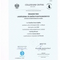Powiększ obraz: certificate 21