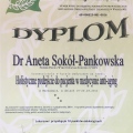 Powiększ obraz: certificate 6