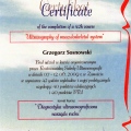Powiększ obraz: certificate 4