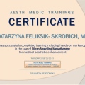 Powiększ obraz: certificate 8