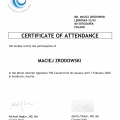 Powiększ obraz: certificate 2