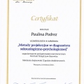 Powiększ obraz: certificate 10