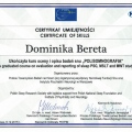 Powiększ obraz: certificate 4