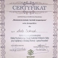 Powiększ obraz: certificate 35