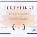 Powiększ obraz: certificate 1
