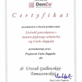 Powiększ obraz: certificate 23