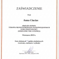 Powiększ obraz: certificate 11