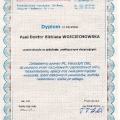 Powiększ obraz: certificate 31