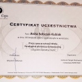 Powiększ obraz: certificate 13