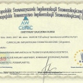 Powiększ obraz: certificate 3