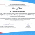 Powiększ obraz: certificate 8