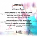 Powiększ obraz: certificate 3