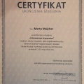 Powiększ obraz: certificate 9