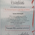 Powiększ obraz: certificate 1