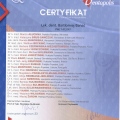 Powiększ obraz: certificate 29