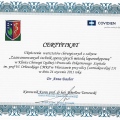 Powiększ obraz: certificate 21