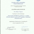 Powiększ obraz: certificate 14