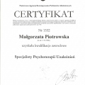 Powiększ obraz: certificate 1