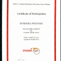 Powiększ obraz: certificate 13