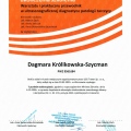 Powiększ obraz: certificate 2