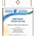 Powiększ obraz: certificate 5