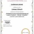 Powiększ obraz: certificate 28
