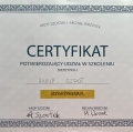 Powiększ obraz: certificate 9