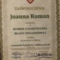 Powiększ obraz: certificate 2