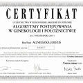 Powiększ obraz: certificate 15