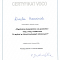 Powiększ obraz: certificate 8